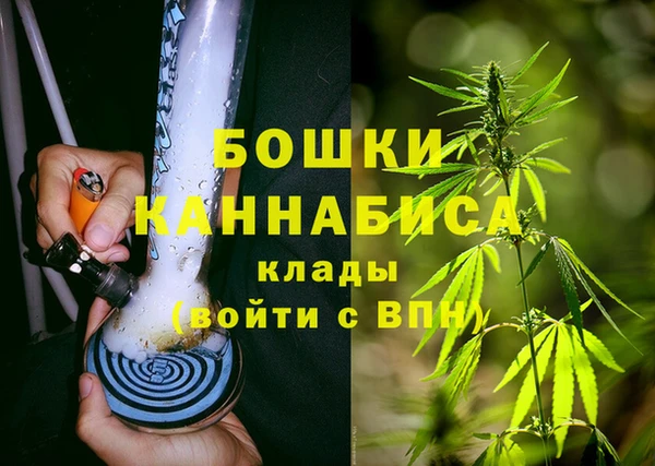 мдпв Богданович