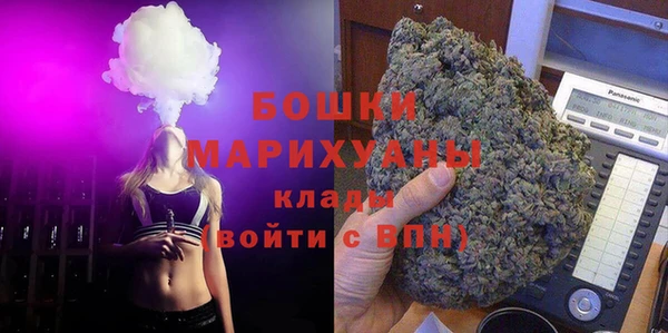 мдпв Богданович